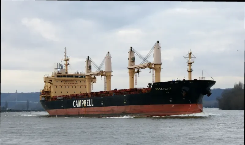 CS CAPRICE Bulk Carrier IMO 9406104 photo 8