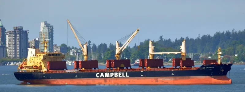 CS CAPRICE Bulk Carrier IMO 9406104 photo 10