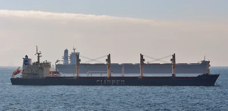 SEASTAR TROJAN Bulk Carrier IMO 9406116 photo 3