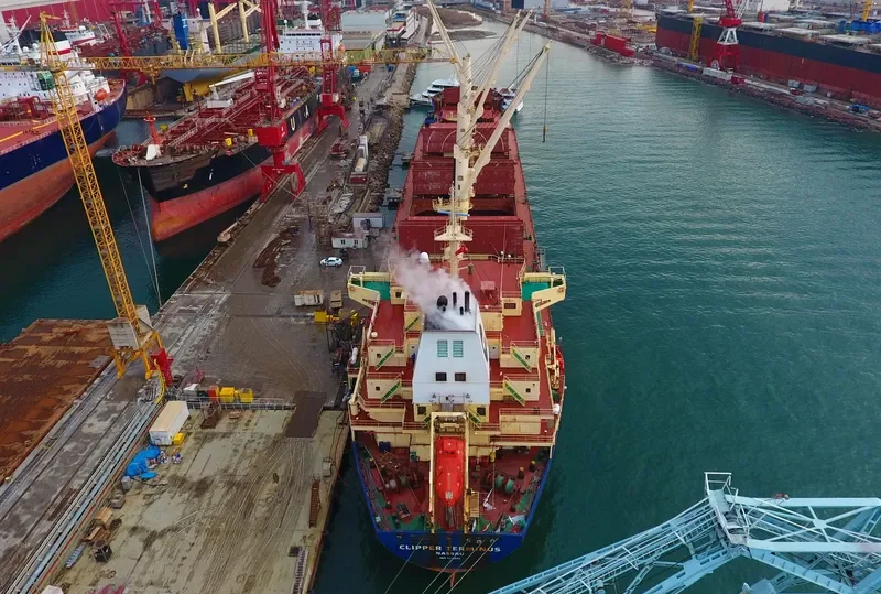 SEASTAR TROJAN Bulk Carrier IMO 9406116 photo 5