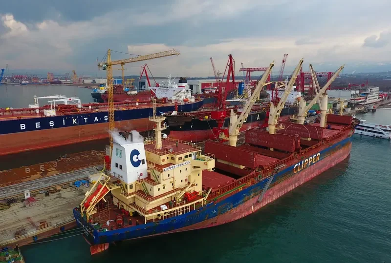 SEASTAR TROJAN Bulk Carrier IMO 9406116 photo 6