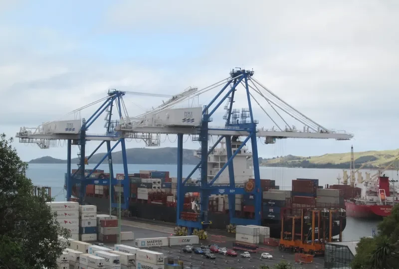 VELA Container Ship IMO 9406180 photo 3