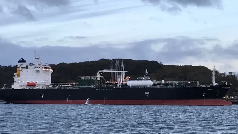 SYMI General Cargo IMO 9406269