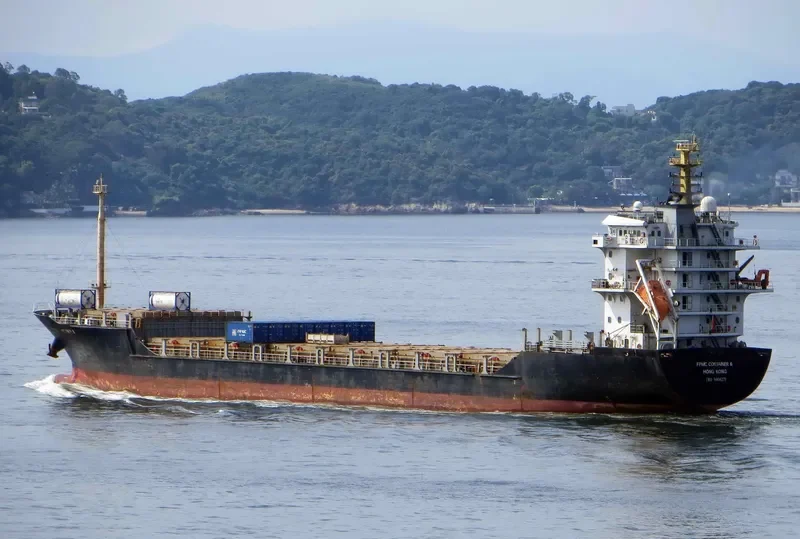 DANUM 173 Container Ship IMO 9406271 photo 8