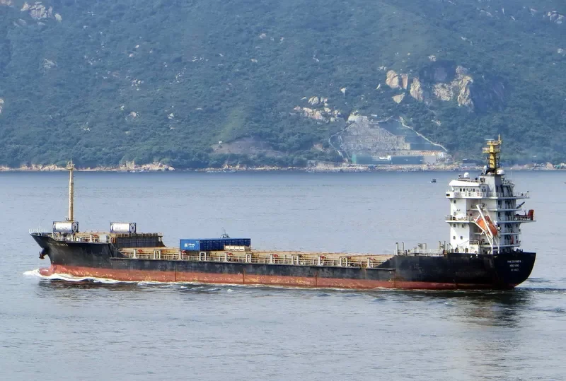 DANUM 173 Container Ship IMO 9406271 photo 9