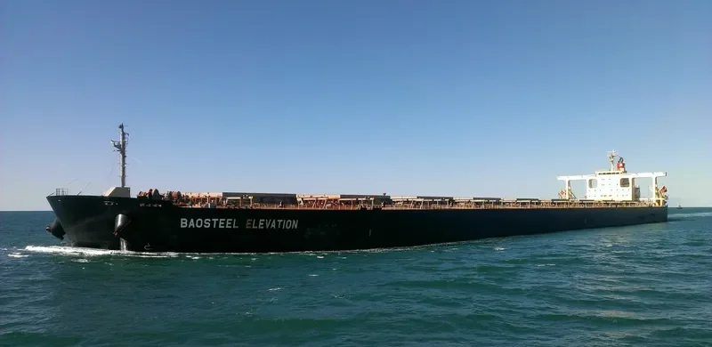 BAOSTEEL ELEVATION Bulk Carrier IMO 9406453 photo 2