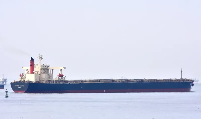 BAOSTEEL ELEVATION Bulk Carrier IMO 9406453 photo 9