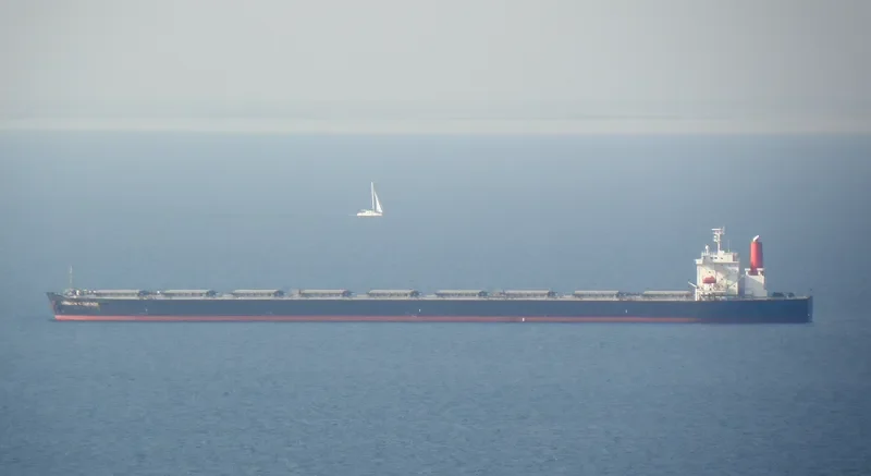 LONDON COURAGE Bulk Carrier IMO 9406465 photo 8