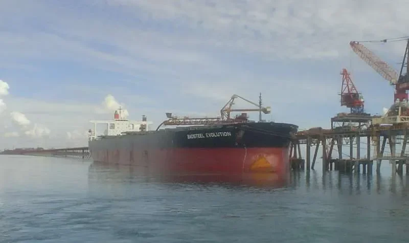 BAOSTEEL EVOLUTION Bulk Carrier IMO 9406477 photo 2