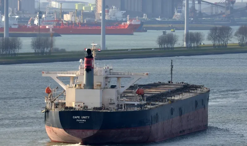 CAPE UNITY Bulk Carrier IMO 9406489 photo 2