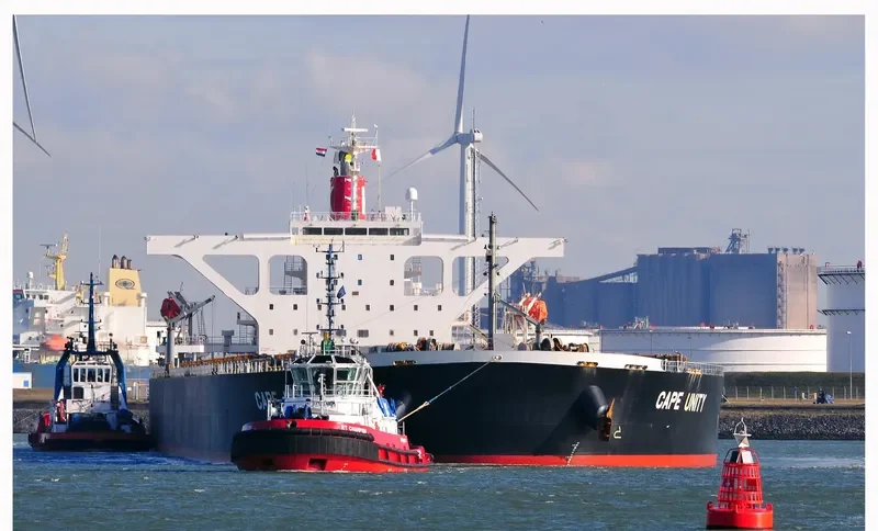 CAPE UNITY Bulk Carrier IMO 9406489 photo 6