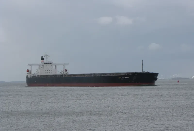 CRASSIER Bulk Carrier IMO 9406491 photo 10