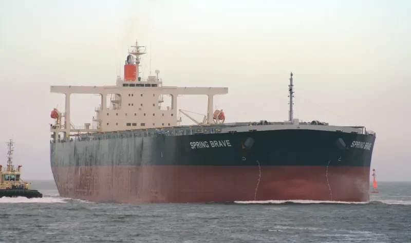 SPRING BRAVE Bulk Carrier IMO 9406506 photo 7