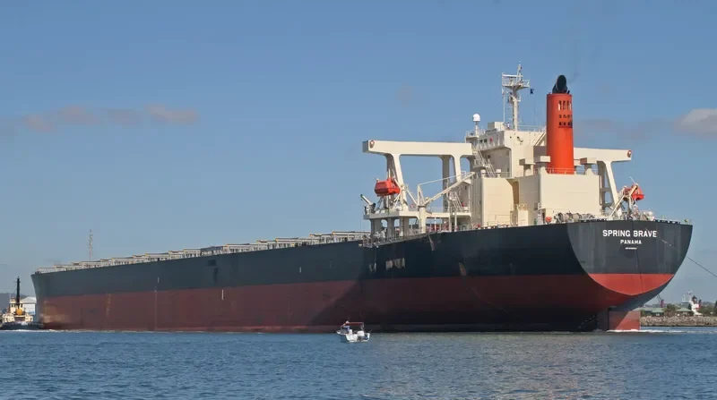 SPRING BRAVE Bulk Carrier IMO 9406506 photo 9