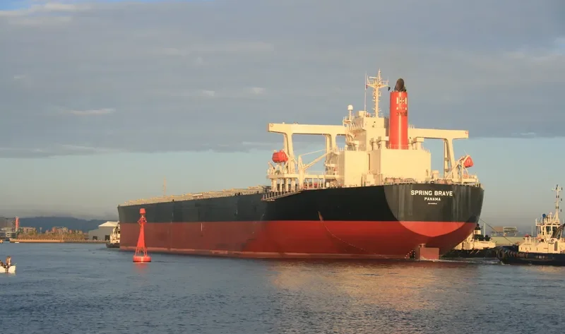 SPRING BRAVE Bulk Carrier IMO 9406506 photo 10