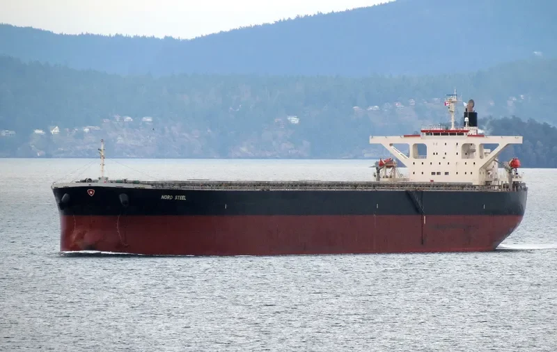 ART Bulk Carrier IMO 9406518 photo 5