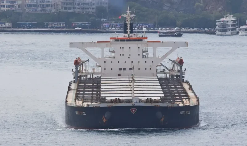 ART Bulk Carrier IMO 9406518 photo 8