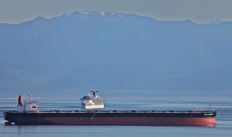 AZUL LEGENDA Bulk Carrier IMO 9406532 photo 6