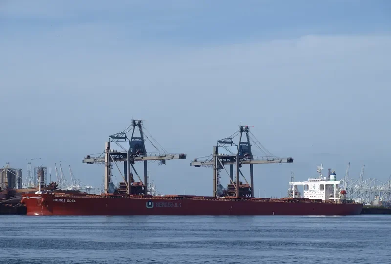 BERGE ODEL Bulk Carrier IMO 9406544 photo 2