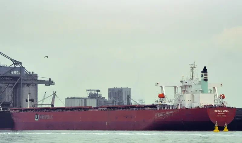 BERGE ODEL Bulk Carrier IMO 9406544 photo 8