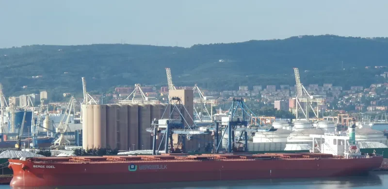 BERGE ODEL Bulk Carrier IMO 9406544 photo 9