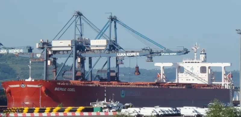 BERGE ODEL Bulk Carrier IMO 9406544 photo 10