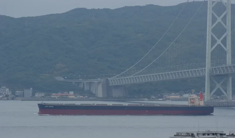 BEI JI STAR Bulk Carrier IMO 9406556 photo 7