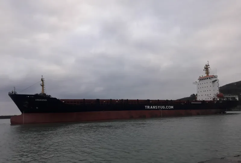 ARIANNA Container Ship IMO 9406702