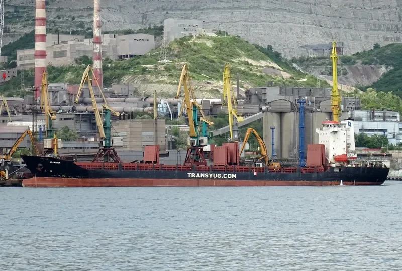 ARIANNA Container Ship IMO 9406702 photo 4