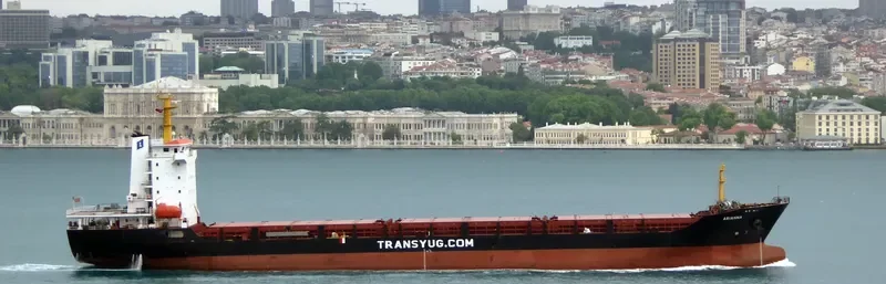 ARIANNA Container Ship IMO 9406702 photo 9