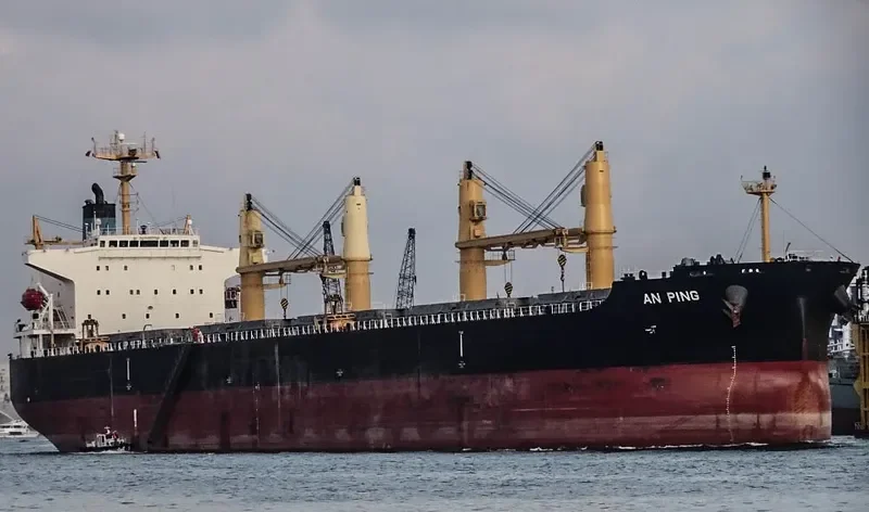 AN PING Bulk Carrier IMO 9406805