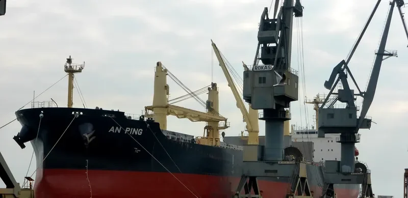 AN PING Bulk Carrier IMO 9406805 photo 4