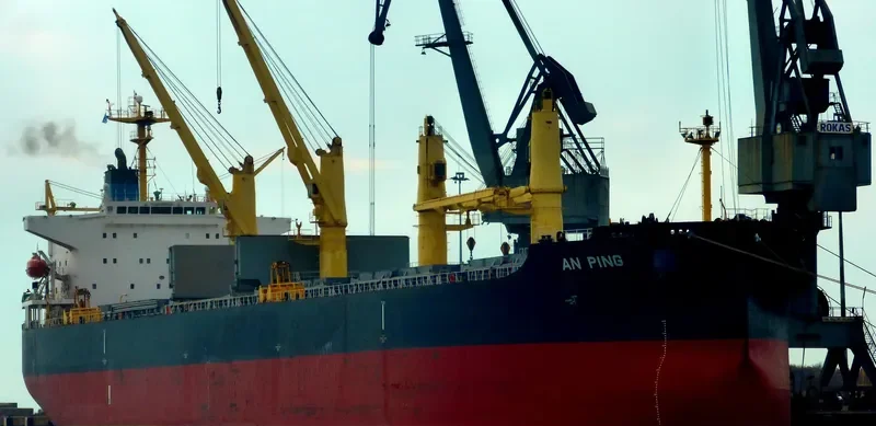 AN PING Bulk Carrier IMO 9406805 photo 5