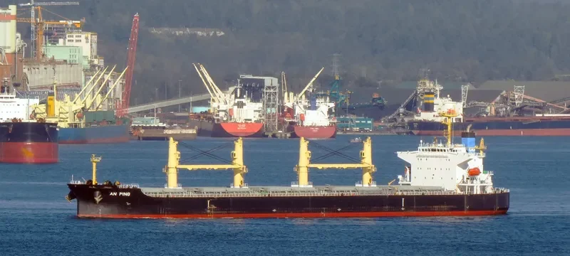 AN PING Bulk Carrier IMO 9406805 photo 8