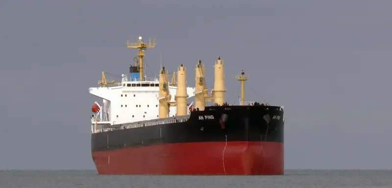 AN PING Bulk Carrier IMO 9406805 photo 10