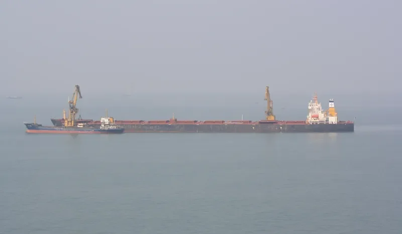 XIN RUN Bulk Carrier IMO 9406881 photo 3