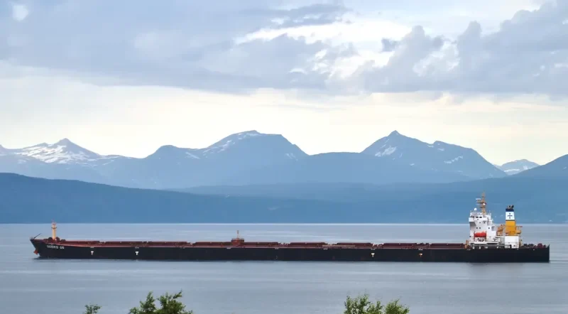 XIN RUN Bulk Carrier IMO 9406881 photo 8