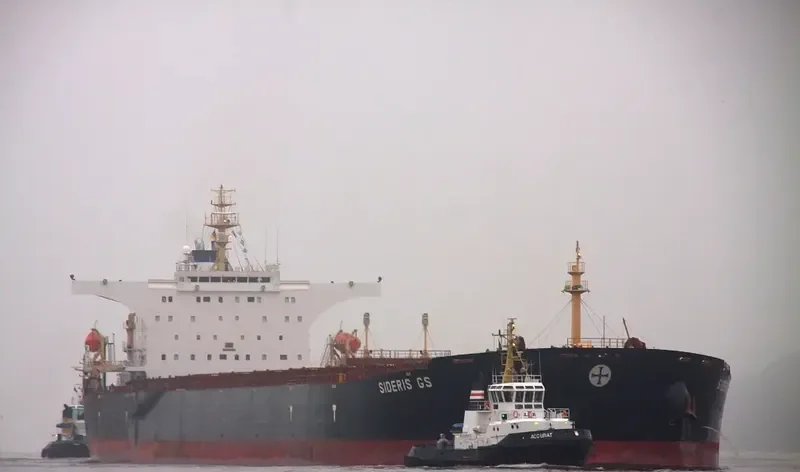 XIN RUN Bulk Carrier IMO 9406881 photo 10