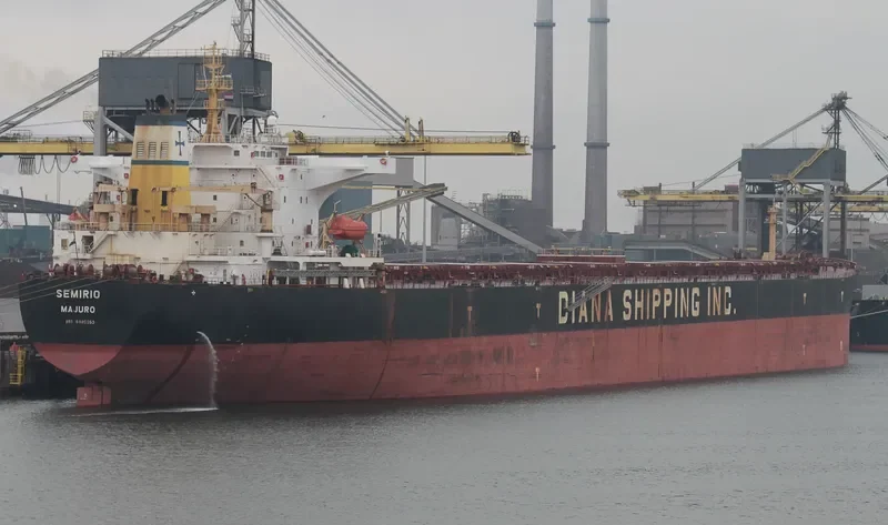 SEMIRIO Bulk Carrier IMO 9406893 photo 8