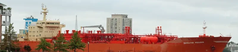 NAVIGATOR PEGASUS General Cargo IMO 9407328 photo 3