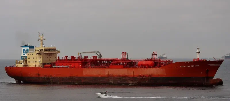 NAVIGATOR PEGASUS General Cargo IMO 9407328 photo 5