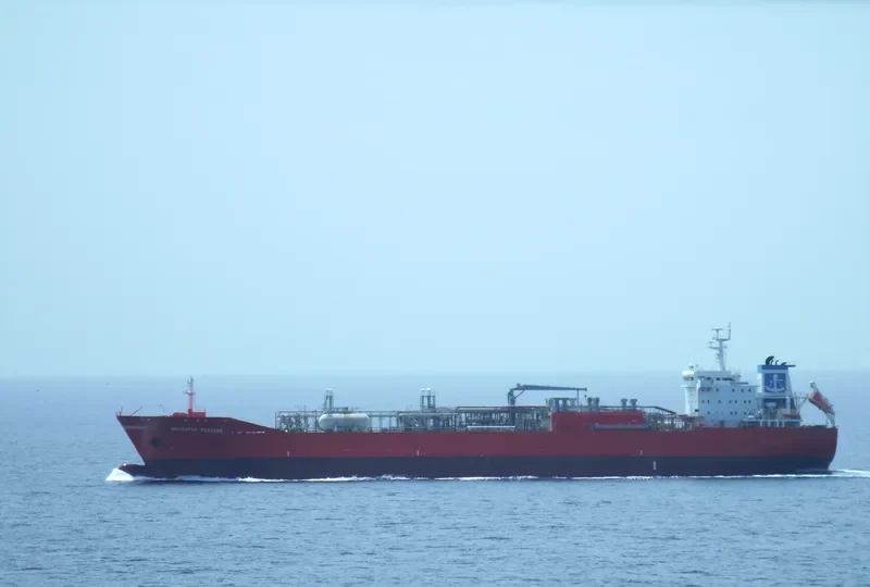 NAVIGATOR PEGASUS General Cargo IMO 9407328 photo 6