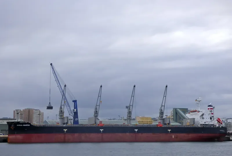 ANNA MARIA Bulk Carrier IMO 9407469