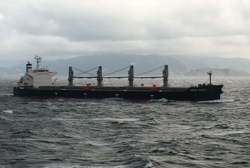 ANNA MARIA Bulk Carrier IMO 9407469 photo 3
