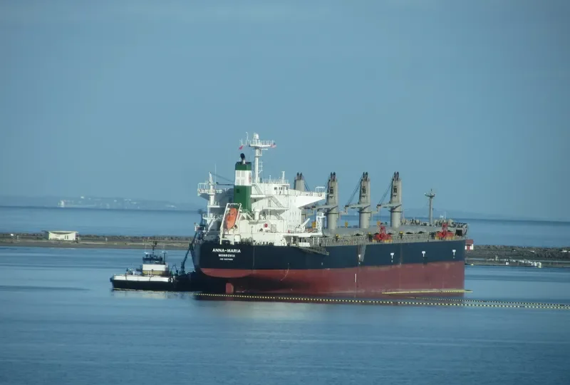 ANNA MARIA Bulk Carrier IMO 9407469 photo 7