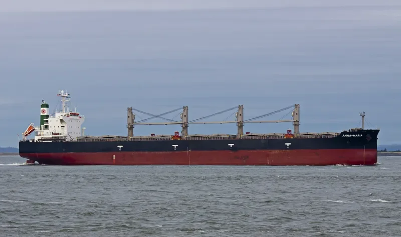 ANNA MARIA Bulk Carrier IMO 9407469 photo 8