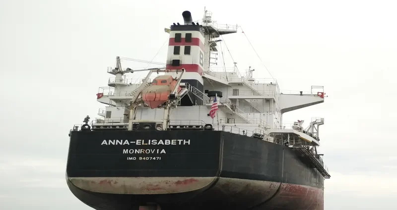 ANNA ELISABETH Bulk Carrier IMO 9407471 photo 2