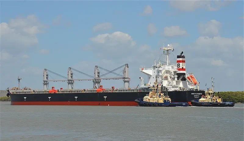 ANNA ELISABETH Bulk Carrier IMO 9407471 photo 6