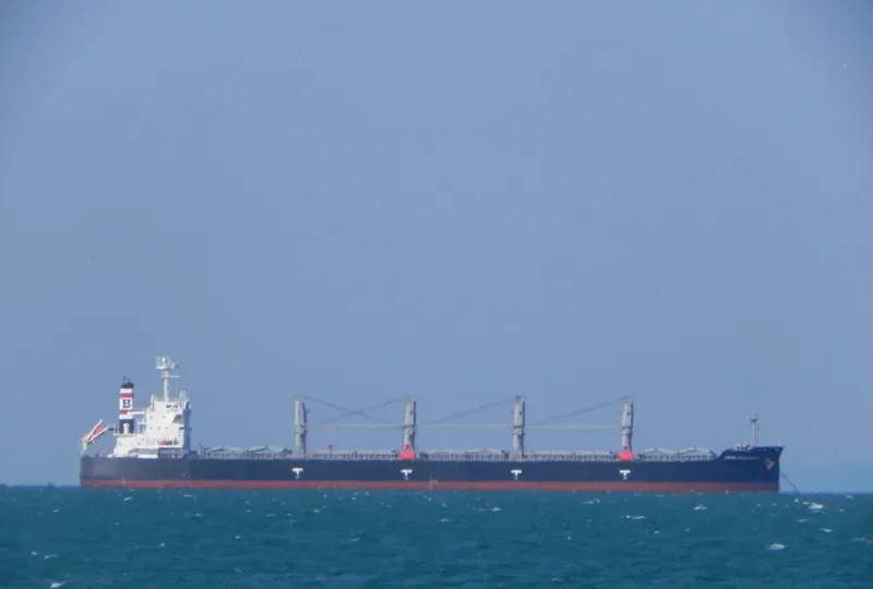 ANNA ELISABETH Bulk Carrier IMO 9407471 photo 8