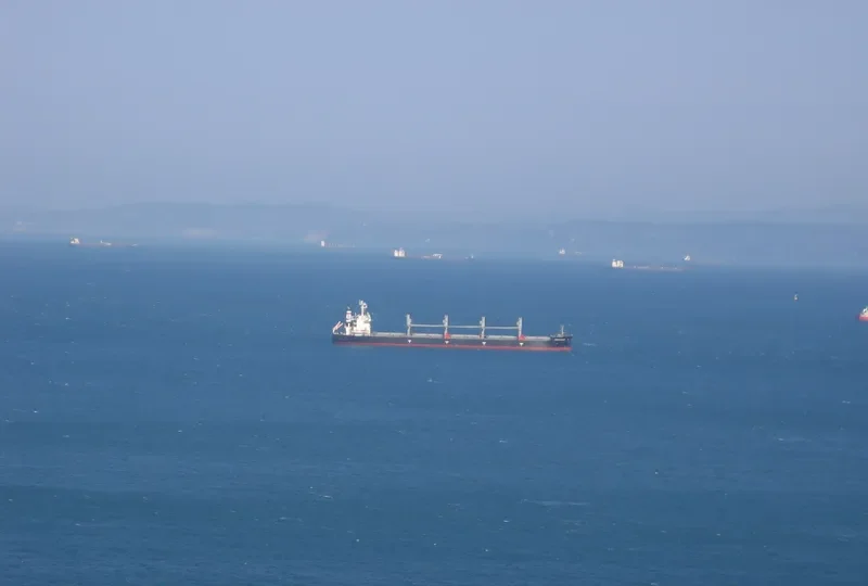 ANNA ELISABETH Bulk Carrier IMO 9407471 photo 9
